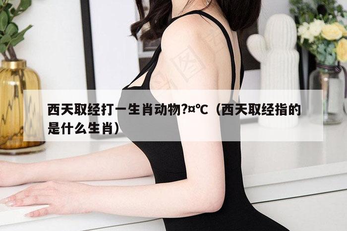 西天取经打一生肖动物?¤℃（西天取经指的是什么生肖）